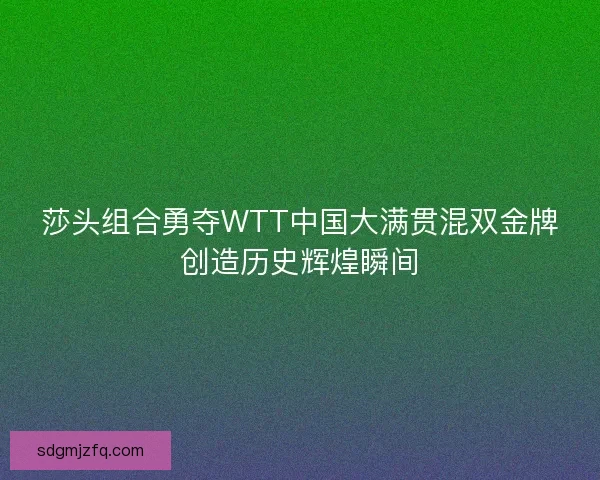 莎头组合勇夺WTT中国大满贯混双金牌创造历史辉煌瞬间
