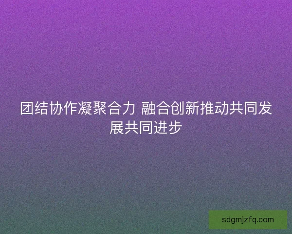 团结协作凝聚合力 融合创新推动共同发展共同进步
