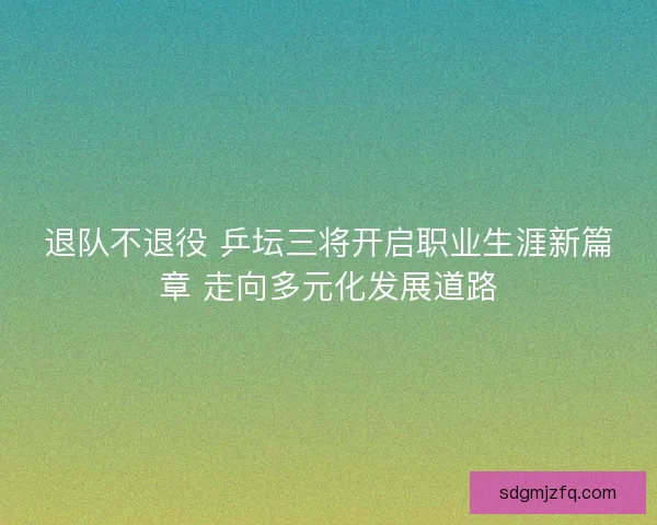 退队不退役 乒坛三将开启职业生涯新篇章 走向多元化发展道路